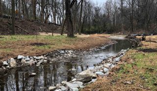 Peterson Avenue Stream Restoration