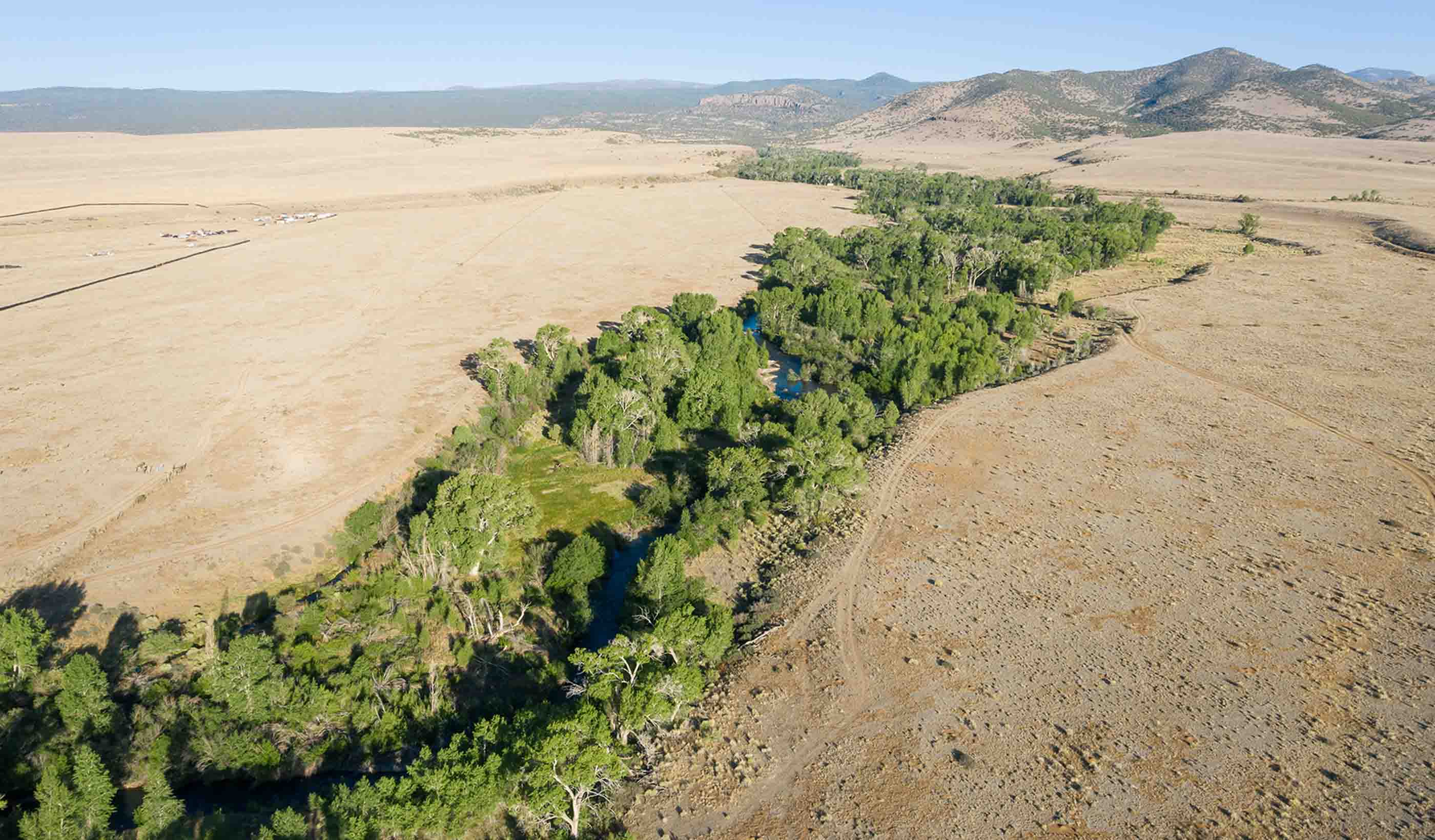 Coming together to restore a Colorado treasure – the Alamosa River