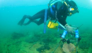 Offshore and Estuarine Artificial Reefs