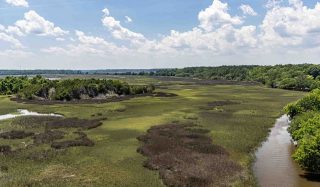 Stono River County Park Planning and Design Services
