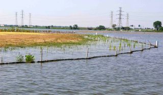 Wolf Lake Aquatic Ecosystem Restoration