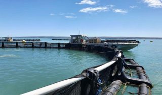 Cone Bay Infauna Sampling
