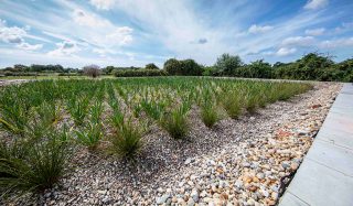 Southern Water Lavant Wastewater Treatment Plant – New Rushbed Design