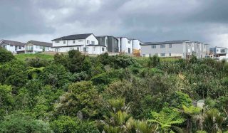 Auckland Council Technical Services Panel