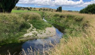 Flaxmill Bridge Ecology