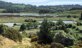 Green Island Resource Recovery Precinct