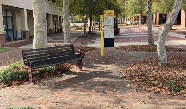 Public Street Bench