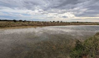 Aboriginal Communities Water and Sewerage Program – Asset Management Review