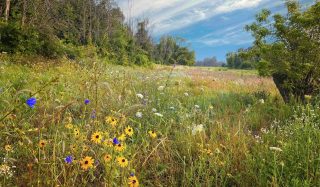 Stantec receives four Environmental Business International awards