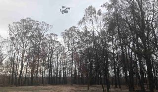 Bushfire Recovery Ecology Field Assessment