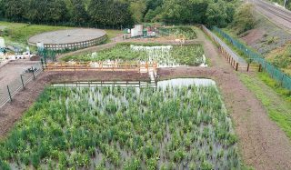 Southwaite Integrated Constructed Wetland, United Utilities