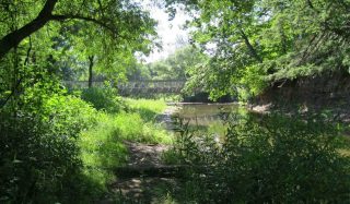 Bronte Creek Valley Remediation