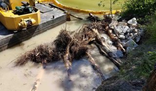 Kinnickinnic River Habitat Rehabilitation Project