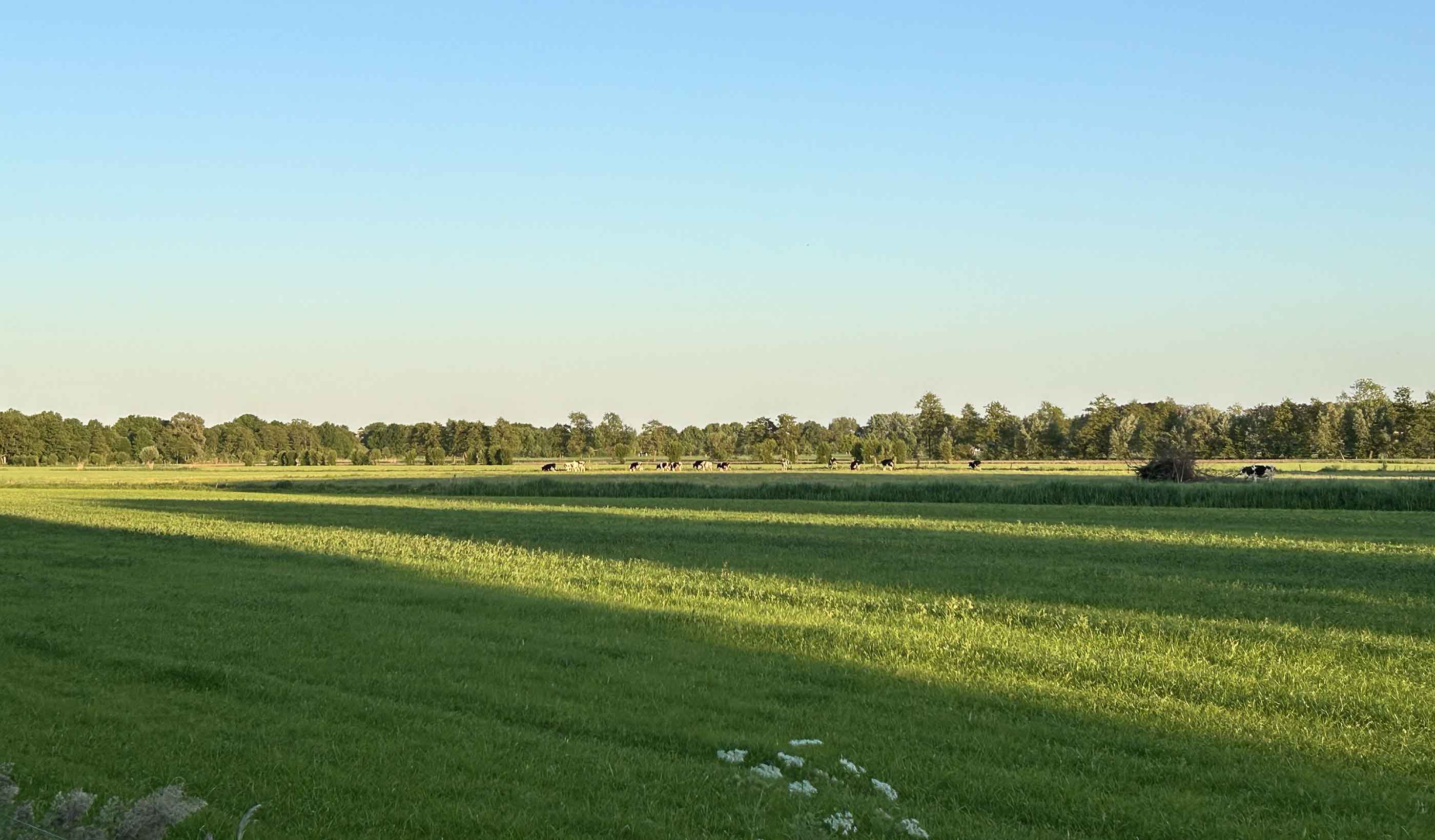 Gerelateerde projecten