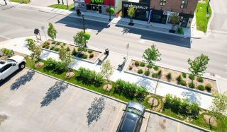 Essex Streetscape Design