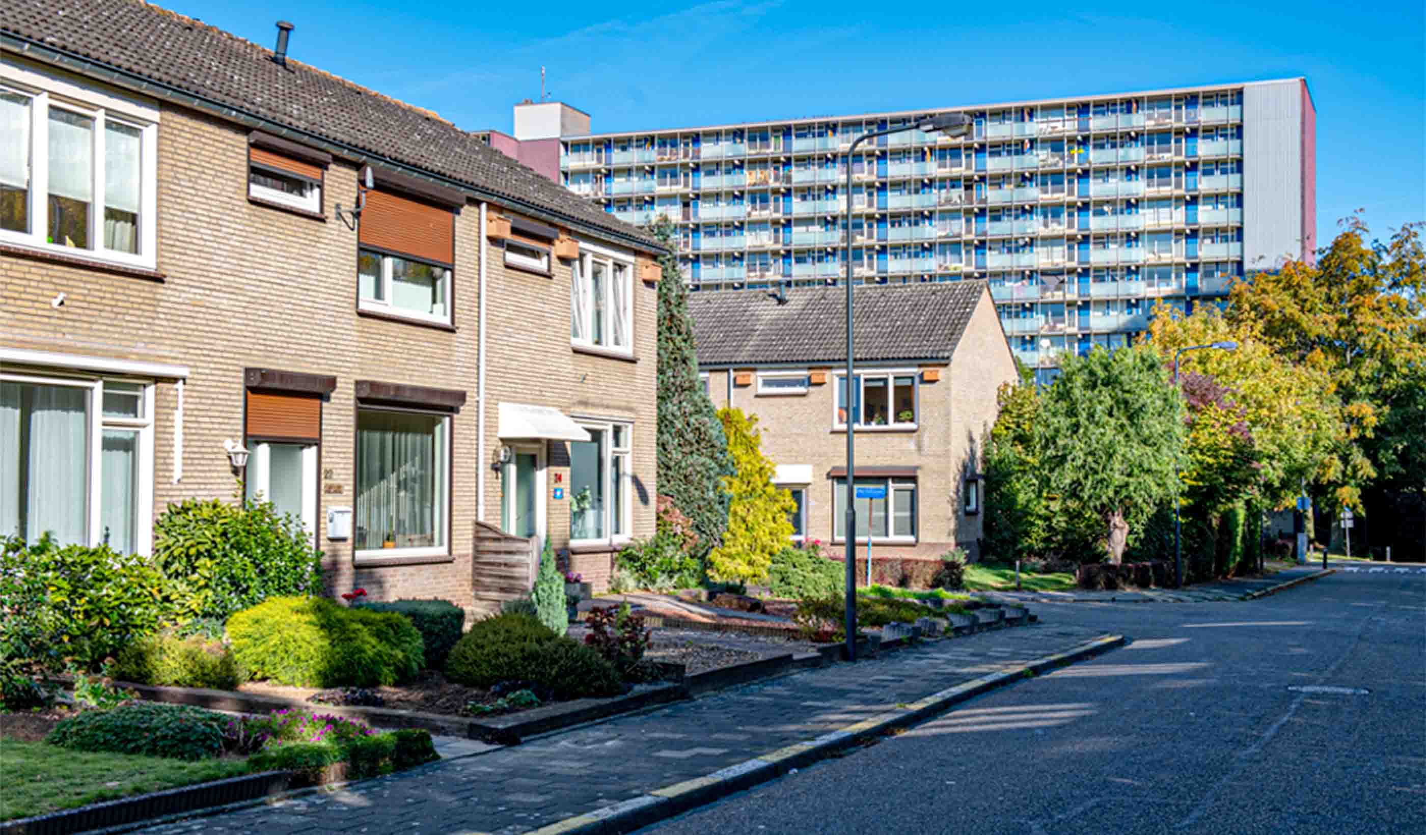 Gerelateerde projecten