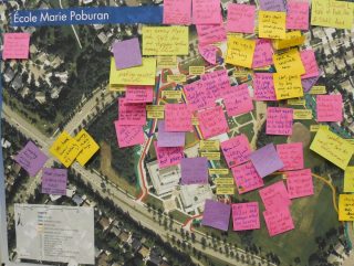 Public Participation