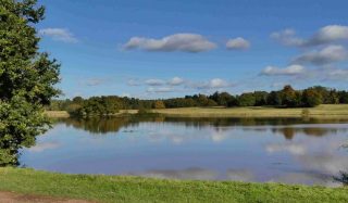 Environmental Software