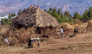 Evaluating Groundwater Potential and Well Siting Strategies in Ethiopia