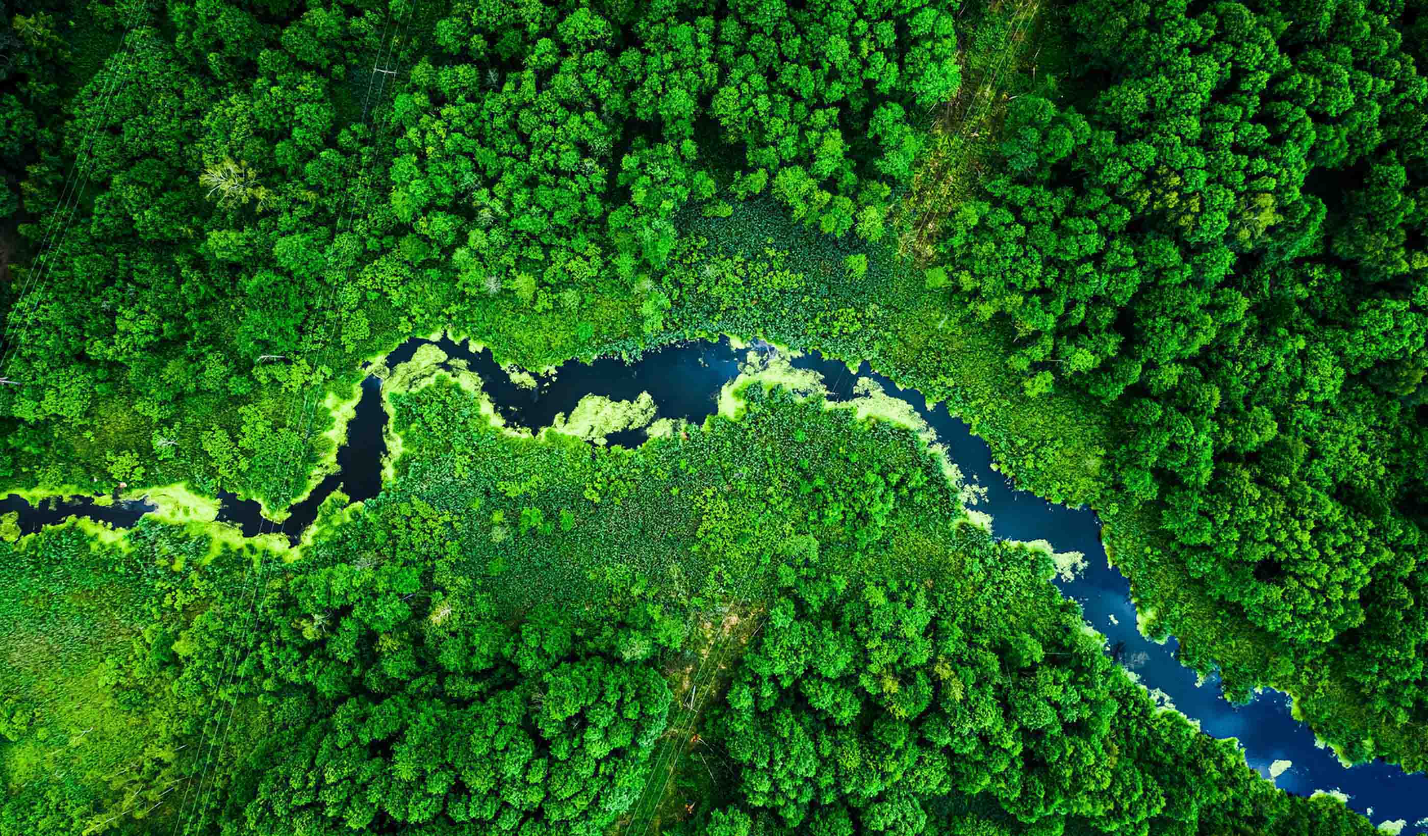 Scopri le opportunità di lavoro nelle discipline in cui operiamo