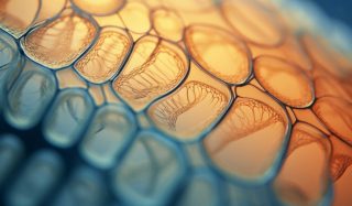 Acceptable Daily Exposure (ADE) Limit Determination for Infusions