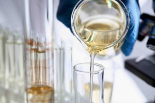 Fuel and Fuel Additive Toxicity Testing Plan