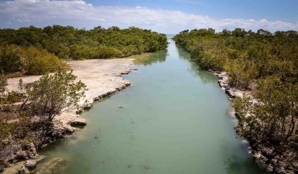 Water way through vegetation in the Florida Keys