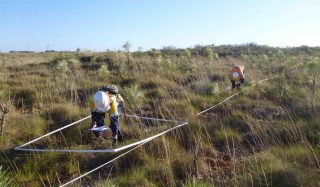 Northwest Australia Vegetation Recognition