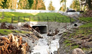 Stantec helps City of Kirkland rehabilitate Cedar Creek to improve fish passage, reduce flooding