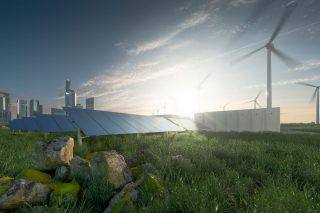 Environmental Impact Assessor