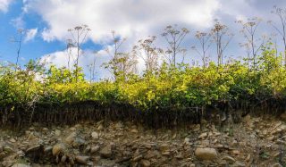 Ground Engineering Projects