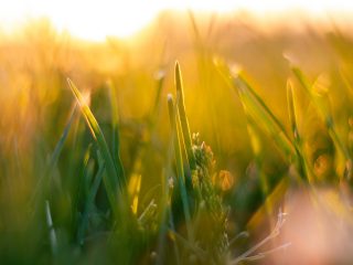 Stantec responds to Government’s Net Zero Review 