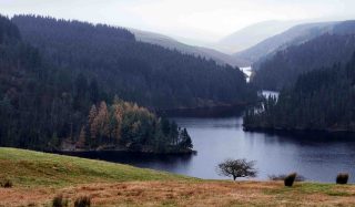 Stantec appointed to Dŵr Cymru Welsh Water’s AMP8 Engineering Consultancy Framework