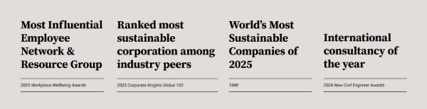 Text and image overlay. Awards highlighting top rankings in employee networks, sustainability, and consultancy for 2024 and 2025