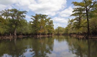 Environmental DNA (eDNA) Detection for Endangered Freshwater Mussels