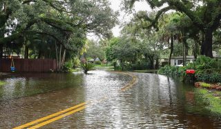 City of Lynn Haven Vulnerability Assessment and Grant Management